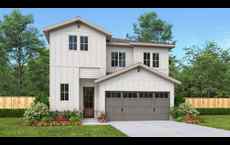 Solms Landing 45': New Braunfels, Texas - Perry Homes
