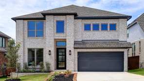 144 Brown Swiss Ridge (2668V)