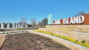 Cane Island 60' - Katy, TX