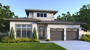 2600E - Esperanza 50': Boerne, Texas - Perry Homes