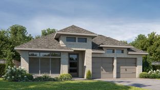 2358V - Alsatian Oaks 50': Castroville, Texas - Perry Homes