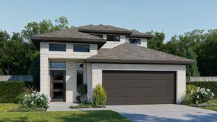 2443W - Santa Rita Ranch 40': Liberty Hill, Texas - Perry Homes