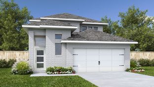 2392W - Santa Rita Ranch 40': Liberty Hill, Texas - Perry Homes