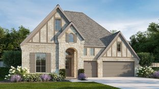 2980W - Riceland 60': Mont Belvieu, Texas - Perry Homes