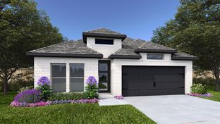 1942P - Ventana 50': Fort Worth, Texas - Perry Homes