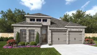 2049P - Audubon Park 45': Magnolia, Texas - Perry Homes
