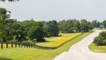Parkside Peninsula 50' - Georgetown, TX