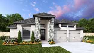 2513W - Wolf Ranch 51': Georgetown, Texas - Perry Homes