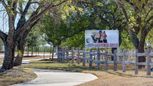 Homestead 65' - Schertz, TX
