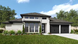 2916W - Meadows of Mill Creek 60': Seguin, Texas - Perry Homes