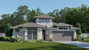 2493P - Audubon 60': Magnolia, Texas - Perry Homes