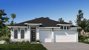 2749F - Mandarin Grove: Palmetto, Florida - Perry Homes