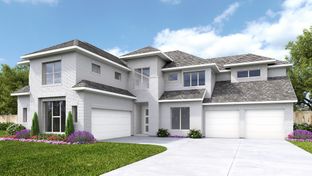 4132W - Santa Rita Ranch 90': Liberty Hill, Texas - Perry Homes