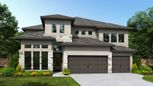Nolina 60' - Georgetown, TX