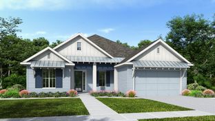 2547F - Southern Hills 65': Brooksville, Florida - Perry Homes