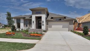 10722 Yellow Wild Indigo Lane (2669W)
