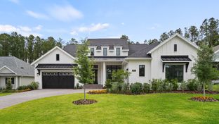 2527F - Southern Hills 65': Brooksville, Florida - Perry Homes