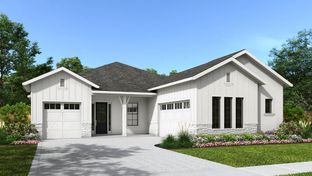 2683F - Southern Hills 65': Brooksville, Florida - Perry Homes