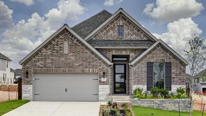 137 Brown Swiss Ridge (2358V)