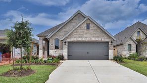 27114 Cutleaf Daisy Court (1650W)
