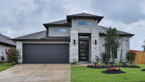 20402 Pony Field Court (2504W)