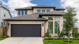 2662W - The Colony 45': Bastrop, Texas - Perry Homes