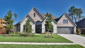 12592 Rosy Paintbrush Drive (3714W)