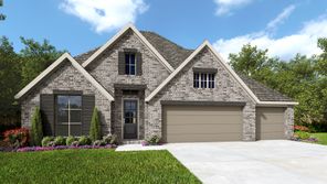 113 Pin Oak (2995W)