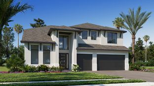 3479F - Turnleaf 60': Punta Gorda, Florida - Perry Homes