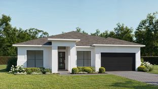 2957F - Turnleaf 60': Punta Gorda, Florida - Perry Homes