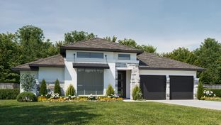 2916W - Parkside On The River 60': Georgetown, Texas - Perry Homes