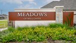 Meadows of Mill Creek 50' - Seguin, TX