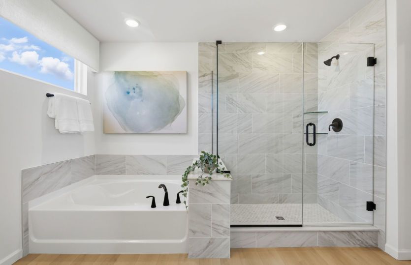 Separate Tub/Shower in Owner's Bath