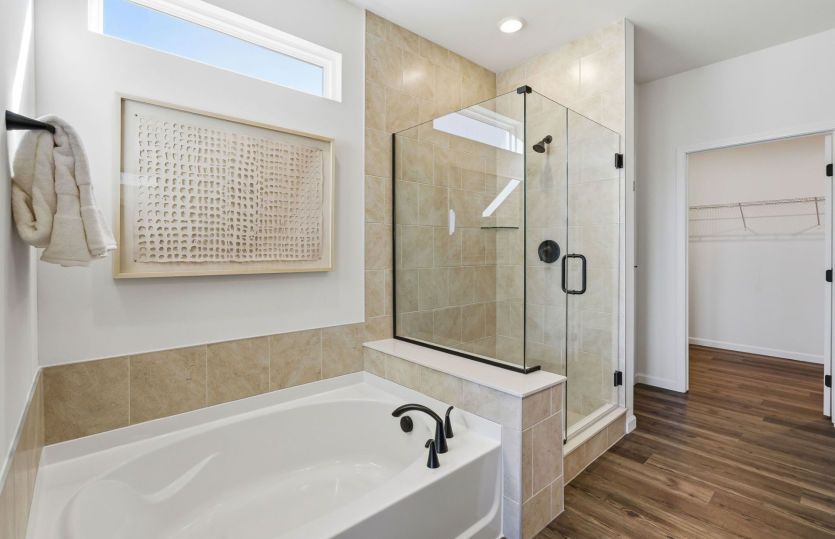 Separate Tub/Shower in Owner's Bath