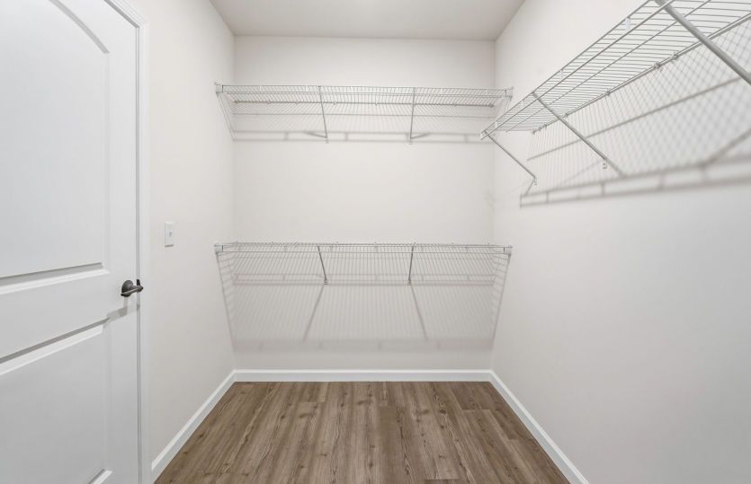 Walk-in Closet with Shelving