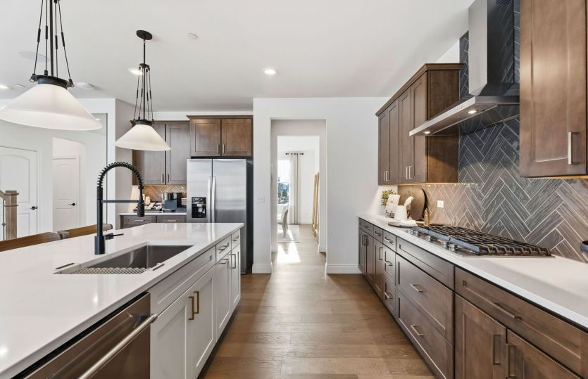 Tons of Kitchen Cabinet Storage