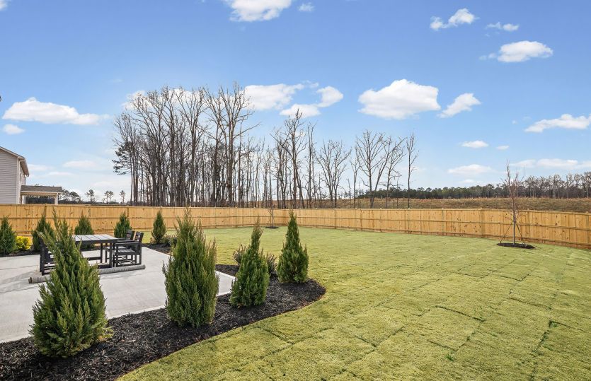 Backyard