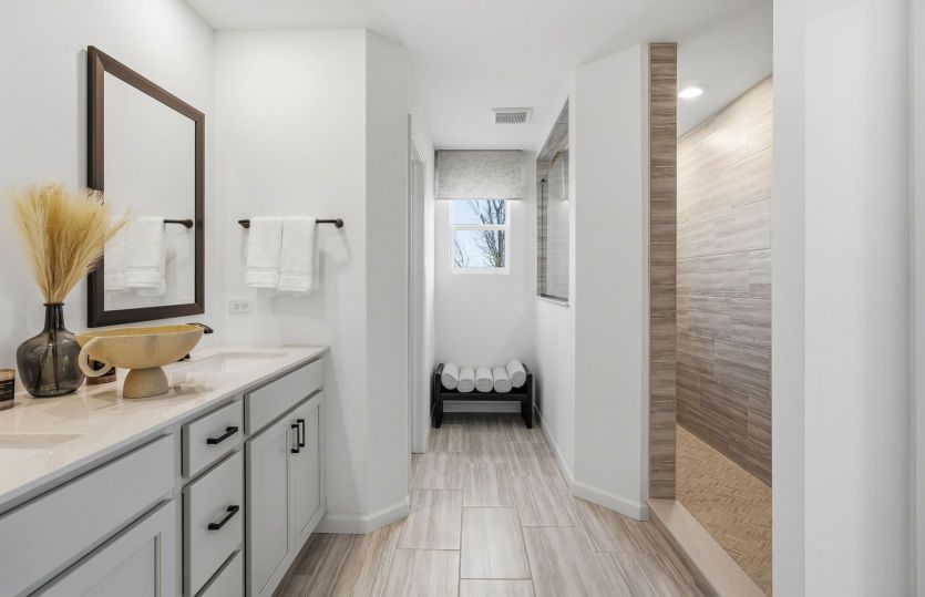 Owner's Bath