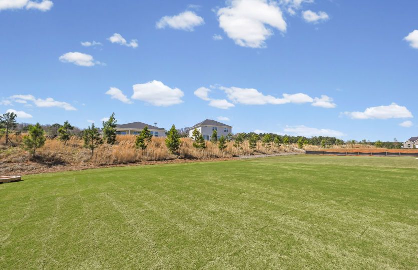 Oversized Backyard