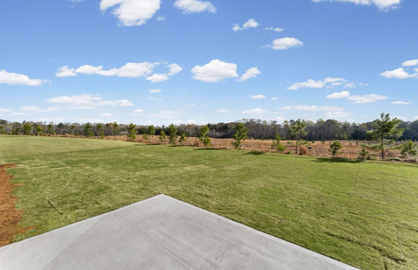 Oversized Backyard