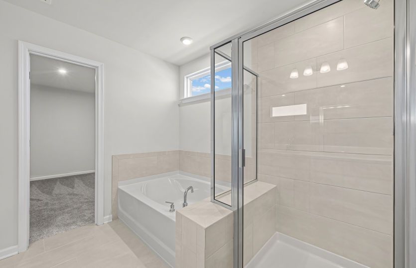 Owner's Bath