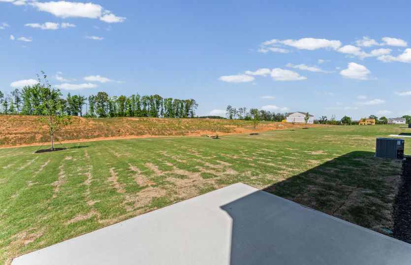 Large Backyard