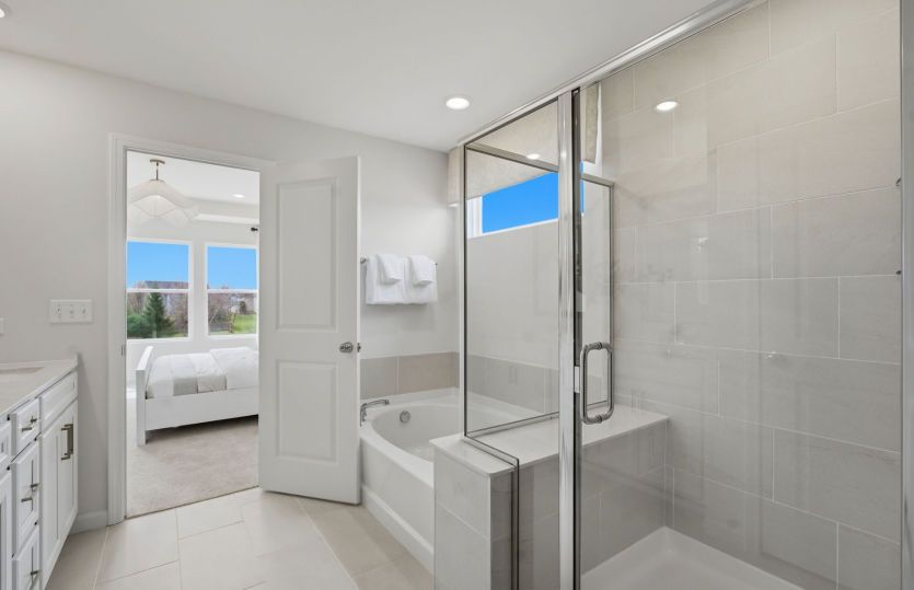 Owner's Bath Shower and Tub