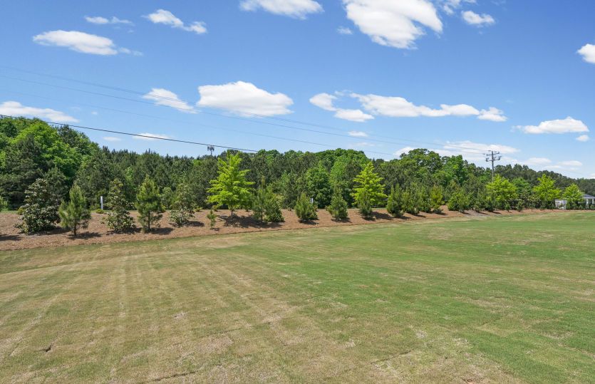 Spacious Backyard