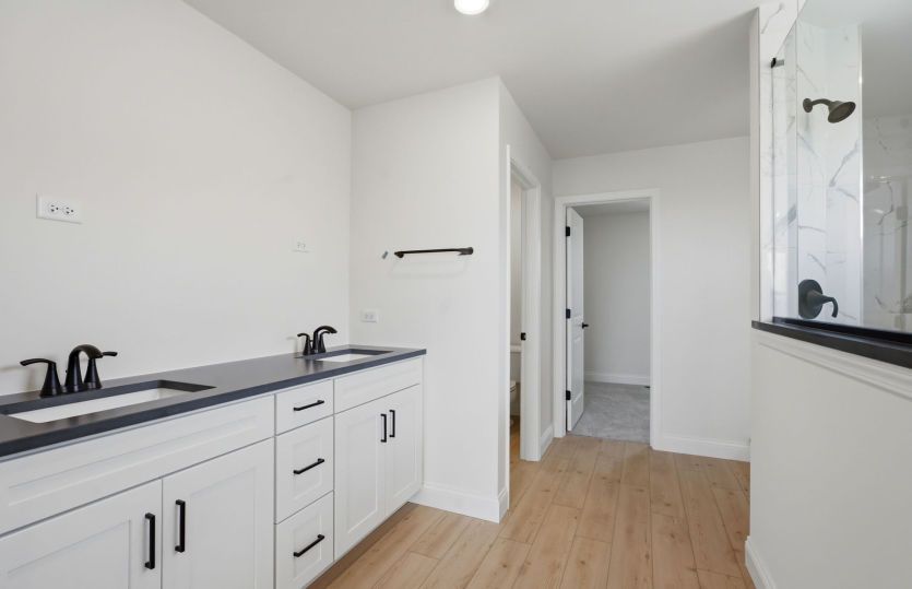 Owner's Bath