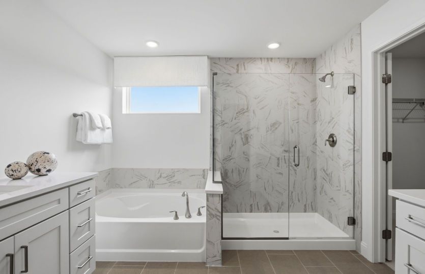 Owner's Suite Spacious Shower