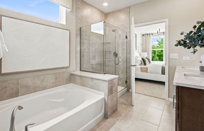 Separate Tub/Shower in Owner's Bath