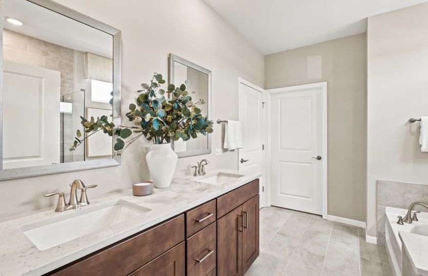 Double Bowl Vanity in Owner's Bath