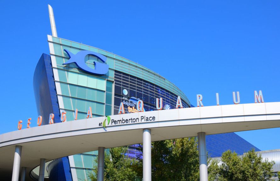 Georgia Aquarium