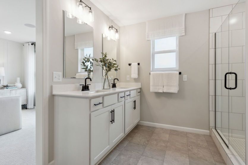 Owner's Bath